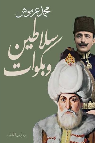 سلاطين وبكوات