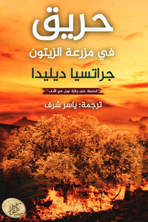 حريق في مزرعة الزيتون