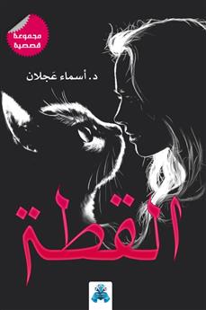 القطة