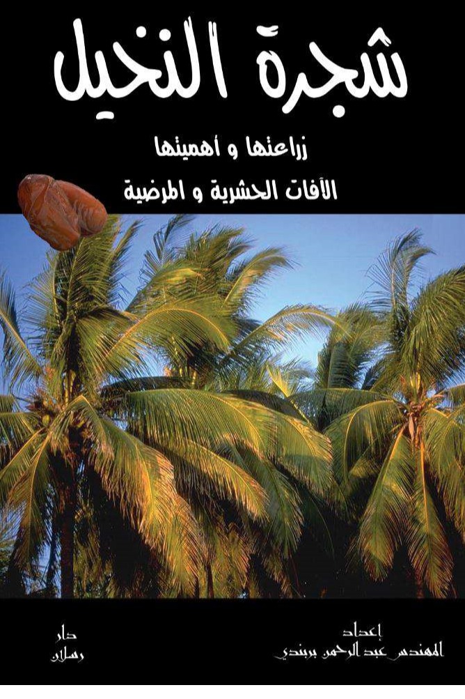 شجرة النخيل