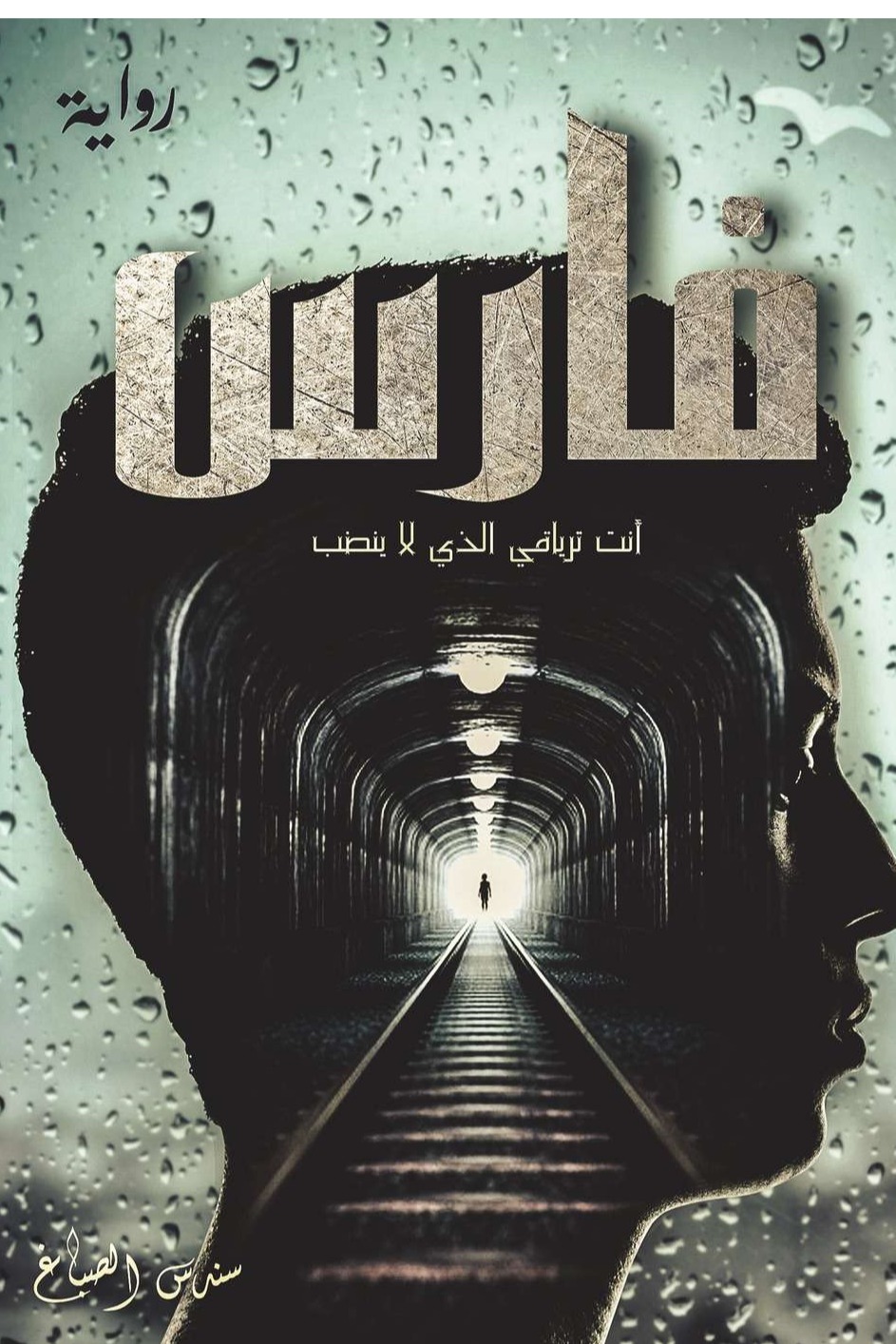 فارس